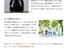 売れるLPの作り方を教えます 難しいことは分からんが売れるLPの作り方を教えてほしい！ イメージ3