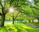 誰にも言えない愚痴や悩み、否定せずゆっくり聞きます 答えを出さなくて大丈夫。ただ話したい気持ちに寄り添います。 イメージ2