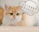 HSPさんの悩み相談をやさしくお聴きします 2000人の繊細さんと会ったHSP交流会主催者が寄り添います イメージ5