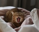 カウンセリングじゃない☆些細なお話に寄り添います 愚痴や不満、くだらない話☆今すぐ１分からでもお聞きします イメージ3