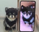 大切な愛犬さんをお作りします うちのコ羊毛フェルトワンコオーダー イメージ3