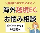 海外越境EC・輸出ECのお悩み相談、承ります 越境EC運用のプロが個別最適にサポート・アドバイスいたします イメージ1