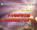 完全攻略】誰でもできるドルの稼ぎ方教えます ドルを稼いで、日々の生活水準を爆上げさせましょう イメージ1
