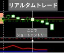 ずっと隠してきた門外不出の独自FX手法を公開します 抽象的ではなく誰がトレードしても同じポイントでのエントリー イメージ3