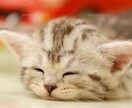 おやすみ前に、お話聴きます 眠る前に★今日一日のできごとをお話しませんか？？ イメージ1