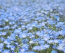 気になる相手の気持ち、未来を霊感タロットで占います 5分でもOK！モヤモヤを解消して一歩踏み出す勇気を応援します イメージ8