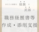 職務経歴書　元海外工場マネージャーが添削します 「採用側の視点」であなたの経験をさらに魅力的な武器に イメージ1