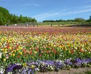 札幌観光のプランニングをします はじめてもリピーターも歓迎、札幌の楽しい思い出をお土産に！ イメージ1