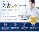 GMP文書のレビューと修正案を提示します 対査察という視点を踏まえた文書レビュー イメージ1