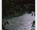 がんばりすぎるあなたへ心が落ち着く一枚を送ります ポストカード　　田舎の写真・風景 イメージ6