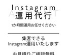 1か月Instagram運用代行します Instagram特化グしたラフィックデザイナーが運用します イメージ1