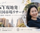 NY在住のPRのプロが海外市場をリサーチします 米国市場・競合調査から戦略立案まで支援 イメージ1