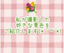 恋愛相談、雑談も☘️のんびり10日間そばにいます 毎日☆サポート☆愚痴☆雑談☆趣味☆癒し☆暇つぶし イメージ3