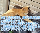名前と生年月日を使って占います 貴方にしかない才能や素質で今より良い環境に自分らしく！ イメージ1