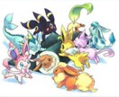 ポケモンに関する基礎知識講座を行います ポケモンゲームの基礎知識を説明、解説します。 イメージ1
