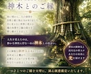 上手くいかない、悩みが消えない本当の理由を視ます 恋愛・仕事・復縁・人間関係｜あなたを願望成就へ導きます イメージ3