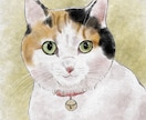 愛猫さんのイラストを描きます ちょっぴりリアルでおしゃれな雰囲気に仕上げます イメージ3