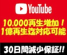 YouTube⚡10000再生増加⚡宣伝拡散します ⚡最高1億再生迄対応可能です⚡安心の30日間減少補償⚡ イメージ1