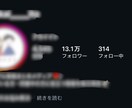 インスタフォロワー最大35,000人増やします あなたのSNSを世界中に発信するお手伝いをさせて頂きます イメージ3