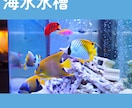 事業所へのアクアリウム導入･管理をサポートします 水中環境の安定まで3ヶ月伴走＆追加料金無しで安心です！ イメージ5