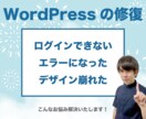 WordPressのエラー・ドラブル修正します 現役Web制作者があなたのサイトを直します イメージ1