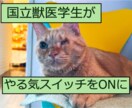 中学生・高校生のやる気スイッチをオンにします 毎週30分の英単語テストで勉強の習慣を付けさせませんか？ イメージ1