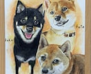 やさしい手描きタッチで似顔絵をお作りします 思い出の一瞬を、やさしい色と表情で形にします。 イメージ6