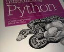 Python始めたい方相談乗ります プログラミングが初めての方に丁寧に教えます！初心者向け！ イメージ1