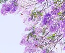あなたの生まれた時の星たちを読みます あなたがあなたの魅力を大切にしたくなる占いを心がけます。 イメージ1