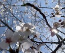 貴方様のお話聴きます 愚痴を聴いて欲しい 何でもいい褒めて 話を聴いて欲しいなど イメージ1