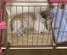 どんな悩み事でも聞きます 僕はジャニーズが好きなのでジャニーズの話でもしましょう。 イメージ1