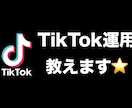 TikTokの運用を教えます TikTok運用を収益化しよう！ イメージ1
