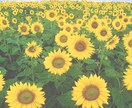 50代/60代❤︎男性/女性/何して過ごしてます 暇してたら電話ください♥ココナラのよしこ母さんが聞きます イメージ7