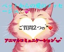 ご質問2つ.*・゚ペットさんの心の声をお届けします お空の子ともお話します・*アニマルコミュニケーションでお届け イメージ1