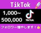 TikTokのフォロワー数をお手頃価格で増やします TikTokフォロワーぐんぐん増加！お得価格で人気の第一歩！ イメージ1