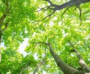 あなたの誰にも言えない悩み、私が聞きます あなたと接点のない私に、その悩み聞かせてください。 イメージ1