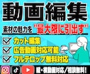 3000円〜 テンポ良く見やすい動画編集をします 初心者でも丸投げOK、丁寧で見やすい編集を提供します イメージ1
