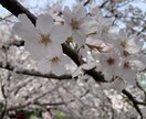 悩み、迷い、愚痴、何でも聞きます 嫌なこと、苦しいこと、もやもや、話して楽になりましょう！ イメージ1