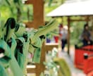 復縁限定。京都貴船神社（結社）代理参拝します 行きたいけど行けない方の願い届けます！ イメージ3