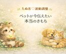 ペットが伝えたい今の気持ちを読み解きます この写真が呼び起こす、魂のメッセージ イメージ1
