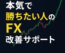 本気で勝ちたい人のFX改善サポートをします 少しだけ私に時間を下さい。FXの手法やルールが確立させます。 イメージ1