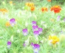 癒し系薬剤師カウンセラーが何でもお話聞きます あなたのありのままを聴かせて下さい。少し話したいでも大丈夫！ イメージ4