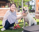 犬のしつけやお困りごとを解決します 犬のお困りごとは、犬の専門家に相談！ イメージ4