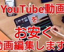 YouTube動画編集を【丁寧】【お安く】行います 素材を渡して頂ければ、一日～二日以内には動画編集します。 イメージ1