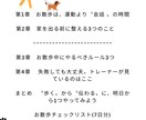 わんちゃんのお散歩のルール作成についてお教えします 現役トレーナーが愛犬との笑顔溢れる生活をサポートいたします！ イメージ2