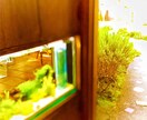 3枚　写メ加工、画像加工（文字いれ等）します キラキラ感のある写メに加工します イメージ6