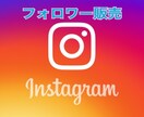 インスタグラムのフォロワー増加させます 高品質フォロワーです‼️1000人〜 イメージ1