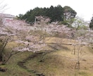 静岡県東部(特に函南町)へ移住のご相談承ります 函南町から首都圏へ新幹線通勤の経験をもとにご回答します。 イメージ2