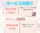 SNS運用代行ます あなたに合ったデザインや台本を作成します。 イメージ6