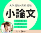 初心者大歓迎！受験対策に特化した小論文添削します 50分×4回指導歴26年トップ講師が合格ラインに仕上げます！ イメージ1